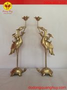 IMG_1384 – Copy IMG_1384 – Copy