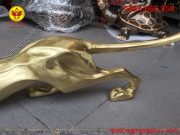 sản phẩm đẹp hoàn hảo