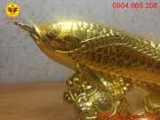 Miệng, mắt cá chép sắc nét và tinh xảo