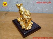 Màu sắc nổi bật và sang trọng