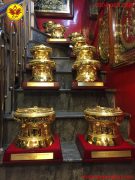 Màu sắc nổi bật và cuốn hút