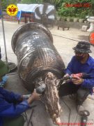 1593400699522 1593400699522