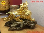 IMG_8628 – Copy IMG_8628 – Copy