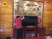 Màu sắc nổi bật và cuốn hút