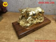 IMG_1614095259201_1614097676183 IMG_1614095259201_1614097676183