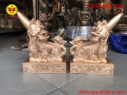 IMG_1614095259375_1614097676534 IMG_1614095259375_1614097676534