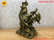 màu sắc nổi bật và cuốn hút