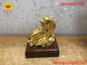 IMG_1637209508451_1637212878324 IMG_1637209508451_1637212878324