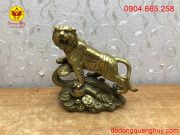 Màu sắc nổi bật và bền lâu