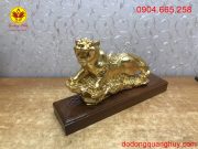 Màu sắc nổi bật và cuốn hút