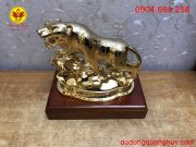 Màu sắc nổi bật và cuốn hút