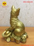 z3437519295382_ef41b851cb454ebeadc6f0d203f75de3 z3437519295382_ef41b851cb454ebeadc6f0d203f75de3