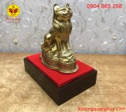 Màu sắc sáng nổi bật và sang trọng