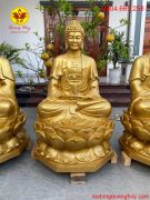 Diện Tượng rất đẹp và thần thái