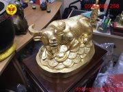 Màu sắc nổi bật và cuốn hút