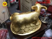 z5435136053443_df50b7c2360714a9bfda8dbca85ca4a2 z5435136053443_df50b7c2360714a9bfda8dbca85ca4a2